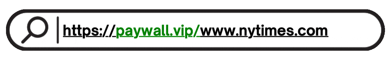 How to use Paywall.vip